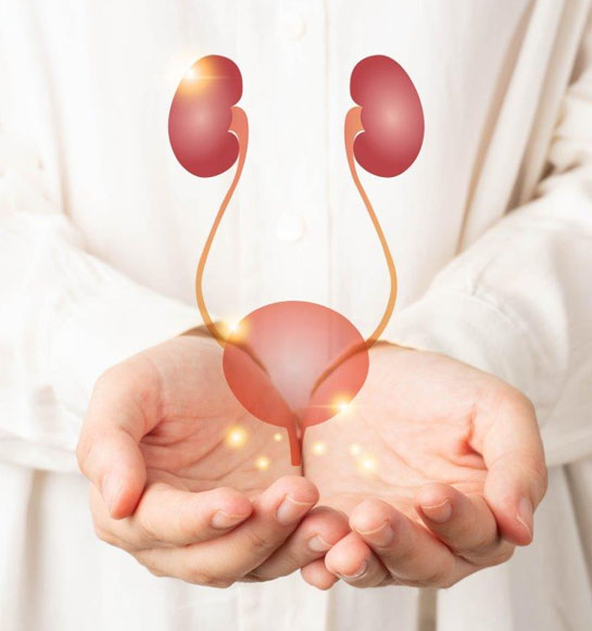 Infecciones Urinarias